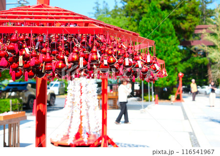 宮城縣護國神社 仙台の大量瓢箪 宮城縣護國神社 仙台の大量瓢箪 116541967