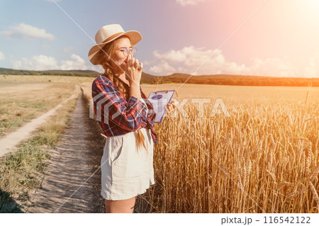Woman wheat field. Agronomist, Woman farmer check golden ripe barley spikes in cultivated field. Closeup of female hand on plantation in agricultural crop management concept. Slow motion Woman wheat field. Agronomist, Woman farmer check golden ripe barley spikes in cultivated field. Closeup of female hand on plantation in agricultural crop management concept. Slow motion 116542122