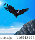 黒い翼で自由に羽ばたくサラリーマン 116542194