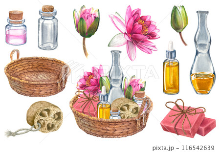 Spa set, wicker round basket, soap, dropper bottle, dried loofah, bottle of lotion for body care and pink water lily. Handmade watercolor composition. Suitable for cosmetic design, cards, packaging. Spa set, wicker round basket, soap, dropper bottle, dried loofah, bottle of lotion for body care and pink water lily. Handmade watercolor composition. Suitable for cosmetic design, cards, packaging. 116542639