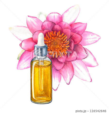 Glass bottle with essential oil surrounded by pink water lily flowers. Hand drawn watercolor illustration of dropper bottle with lotus on isolated background for aromatherapy, advertising of cosmetic. 116542646