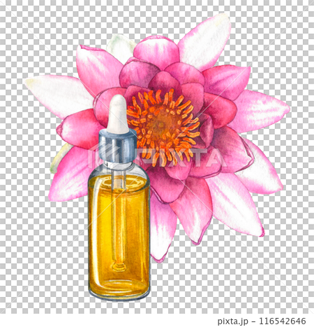 Glass bottle with essential oil surrounded by pink water lily flowers. Hand drawn watercolor illustration of dropper bottle with lotus on isolated background for aromatherapy, advertising of cosmetic. 116542646