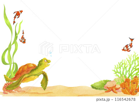Bottom frame or border with cartoon sea turtle, clown fish, corals and algae. Underwater life isolated hand drawn Watercolor Illustration for postcard, travel banner, label, cover, invitation 116542678