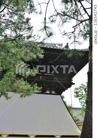 大徳寺 雨あがりの鐘楼【重要文化財】 大徳寺 雨あがりの鐘楼【重要文化財】 116542743