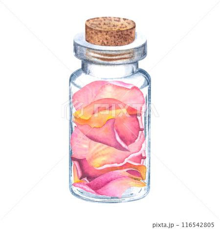 Miniature clear Miniatglass cosmetic bottle with dried rose petals. Hand drawn watercolor illustration of small vial isolated on background. For scrapbooking, wedding favors sign, wedding decorations. Miniature clear Miniatglass cosmetic bottle with dried rose petals. Hand drawn watercolor illustration of small vial isolated on background. For scrapbooking, wedding favors sign, wedding decorations. 116542805