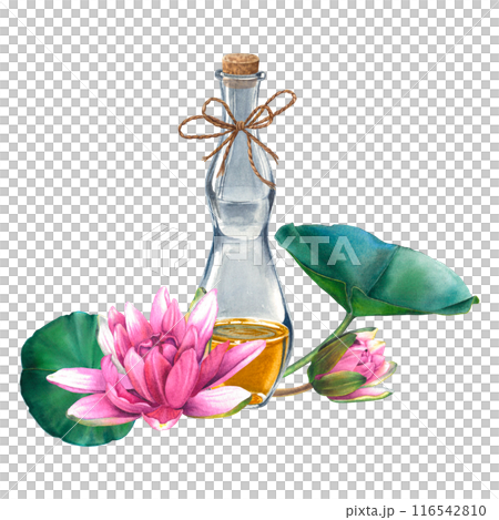 Glass bottle with essential oil surrounded by pink water lily flowers. Hand drawn watercolor illustration of vintage flacon with lotus on isolated background for aromatherapy, advertising of cosmetic. 116542810