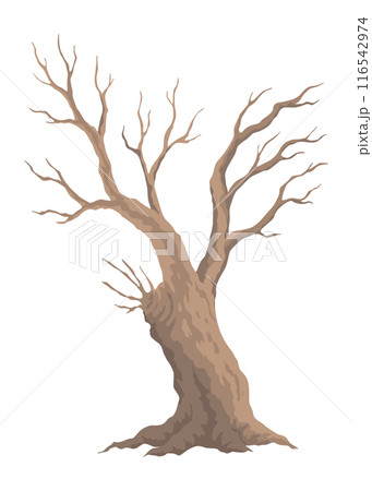 Old dead tree. Hand draw leafless trunk. Winter or autumn season plants icon, dry naked branch silhouette. Nature ecology problems concept. Isolated vector illustration 116542974