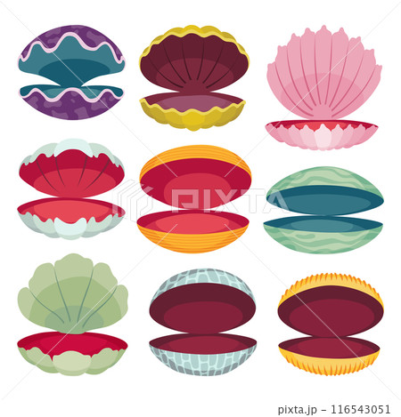 Open seashell scallop icon. Beautiful clam shell in cartoon flat style. Vector illustration isolated on white background Open seashell scallop icon. Beautiful clam shell in cartoon flat style. Vector illustration isolated on white background 116543051