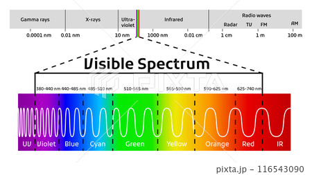 Spectrum wavelength. Visible spectrum color range. Educational physics light line. Light wave frequency. Wavelengths of the visible part of the spectrum for human eyes 116543090