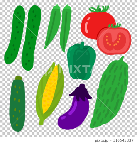 Illustration of summer vegetables Illustration of summer vegetables 116543337