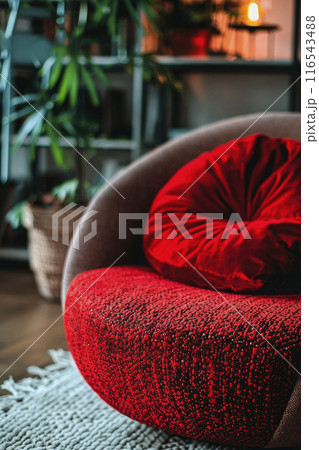 closeup of round for pets red cushion living room closeup of round for pets red cushion living room 116543488