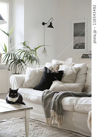 white living room with Cushion for cat white living room with Cushion for cat 116543492