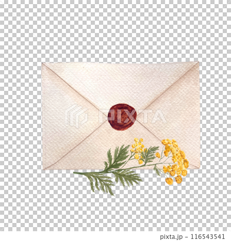 Blue tansy flowers, an envelope sealed with wax watercolor composition isolated on white. Hand painted in watercolor. High quality art great for stickers, notebooks decor, packages, herbal production 116543541