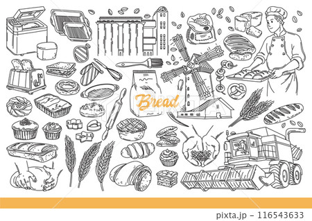 Production and consumption of bread from wheat and grain, for decorating bakery. Hand drawn doodle 116543633