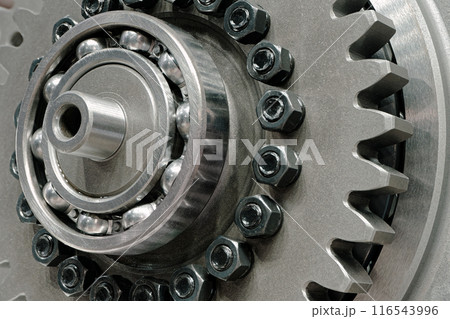 Freewheel or overrunning clutch 116543996