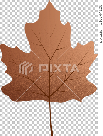 Vivid Autumn Falling Leaf Vivid Autumn Falling Leaf 116544129