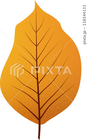 Vivid Autumn Falling Leaf 116544131