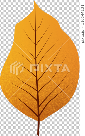 Vivid Autumn Falling Leaf Vivid Autumn Falling Leaf 116544131