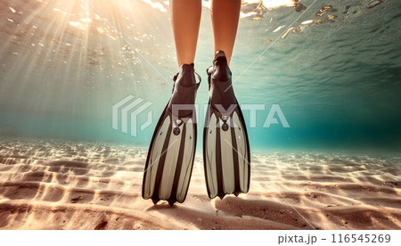 Person Standing in Water With Flippers 116545269