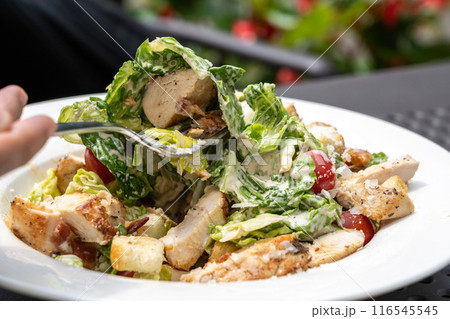 Caesar Salad, Green Lettuce Salat with Chicken and Parmesan Cheese Closeup 116545545