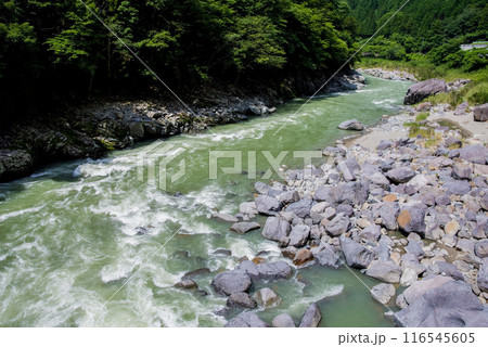 中山七里《岐阜県》 中山七里《岐阜県》 116545605