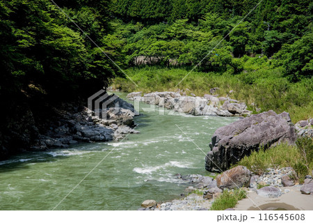 中山七里《岐阜県》 中山七里《岐阜県》 116545608