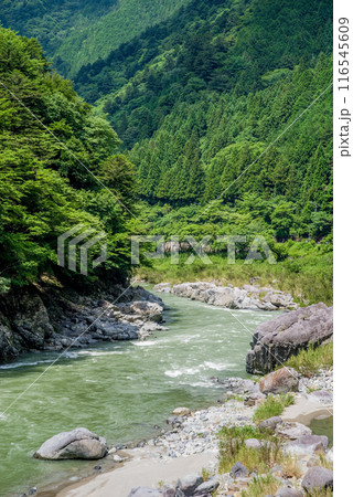 中山七里《岐阜県》 中山七里《岐阜県》 116545609