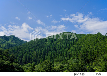 《夏素材》夏山と夏空 《夏素材》夏山と夏空 116545868