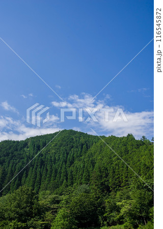 《夏素材》夏山と夏空 《夏素材》夏山と夏空 116545872