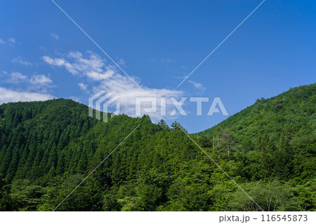 《夏素材》夏山と夏空 《夏素材》夏山と夏空 116545873