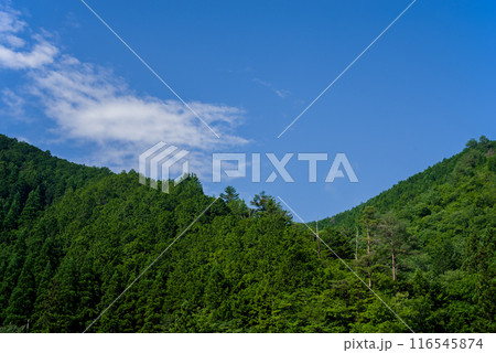 《夏素材》夏山と夏空 《夏素材》夏山と夏空 116545874