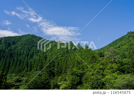 《夏素材》夏山と夏空 116545875