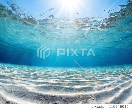 Undersea world. Landscape underwater in the sea or ocean. Marine nature background. 116546013