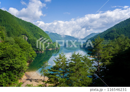 《夏の絶景》緑に包まれた湖畔の風景 《夏の絶景》緑に包まれた湖畔の風景 116546231