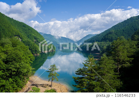 《夏の絶景》緑に包まれた湖畔の風景 《夏の絶景》緑に包まれた湖畔の風景 116546233