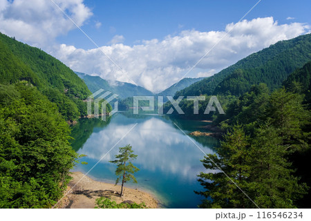 《夏の絶景》緑に包まれた湖畔の風景 116546234