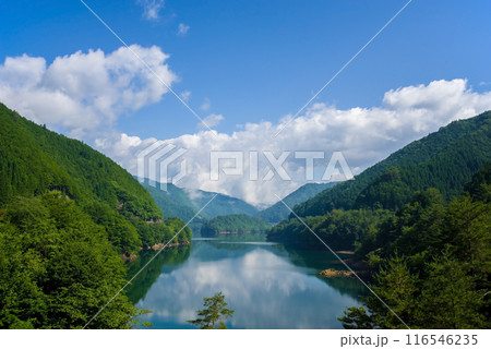 《夏の絶景》緑に包まれた湖畔の風景 116546235