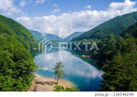 《夏の絶景》緑に包まれた湖畔の風景 116546240