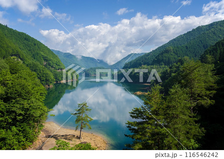 《夏の絶景》緑に包まれた湖畔の風景 116546242