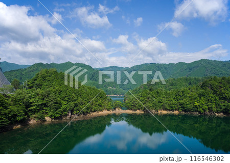 《夏の絶景》緑豊かな夏のダム湖・馬瀬大橋からの風景 《夏の絶景》緑豊かな夏のダム湖・馬瀬大橋からの風景 116546302
