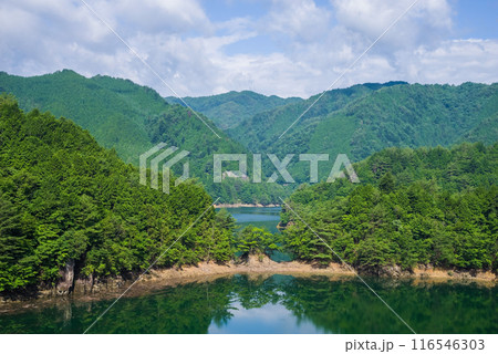 《夏の絶景》緑豊かな夏のダム湖・馬瀬大橋からの風景 116546303