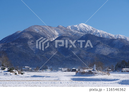大野市から望む冬の荒島岳と小荒島岳 大野市から望む冬の荒島岳と小荒島岳 116546362