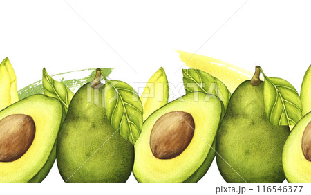 Avocado Seamless Border. Watercolor hand drawn botanical illustration. Vegetarian fruit. Half avocado. Slices of green avocado. Avocado Seamless Border. Watercolor hand drawn botanical illustration. Vegetarian fruit. Half avocado. Slices of green avocado. 116546377