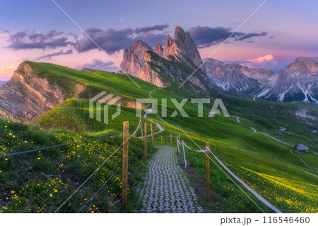 Seceda mountain at beautiful sunset in summer in Dolomites, Italy Seceda mountain at beautiful sunset in summer in Dolomites, Italy 116546460