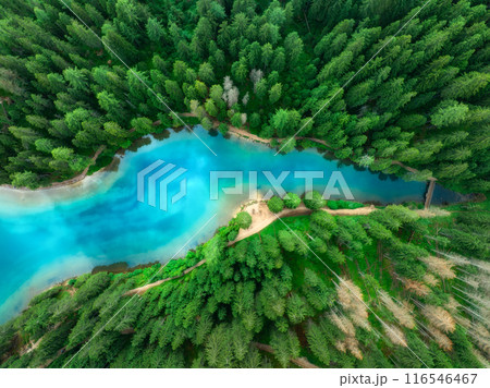 Aerial view of blue lake, green forest in summer. Braies lake 116546467