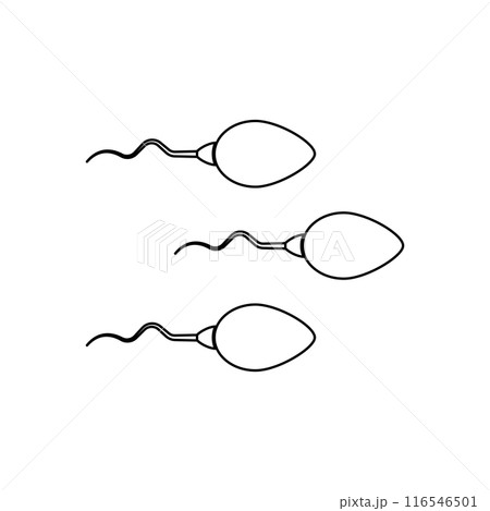 sperm icon illustration sperm icon illustration 116546501