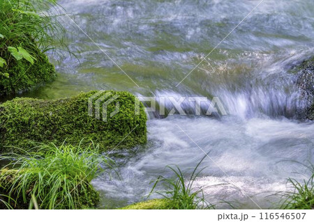 夏の奥入瀬渓流 石ヶ戸の瀬 青森県十和田市 夏の奥入瀬渓流 石ヶ戸の瀬 青森県十和田市 116546507