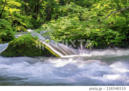 夏の奥入瀬渓流 石ヶ戸の瀬 青森県十和田市 夏の奥入瀬渓流 石ヶ戸の瀬 青森県十和田市 116546510