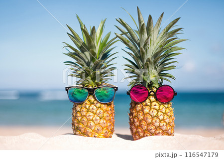 Two pineapples with trendy sunglasses in tropical paradise Two pineapples with trendy sunglasses in tropical paradise 116547179