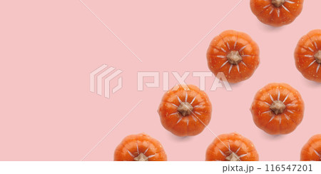Orange pumpkin pattern on pastel color background 116547201